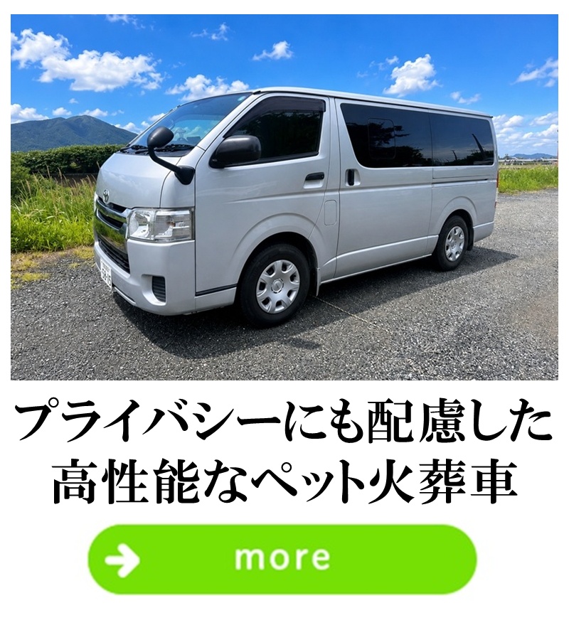 pet-cremation-car