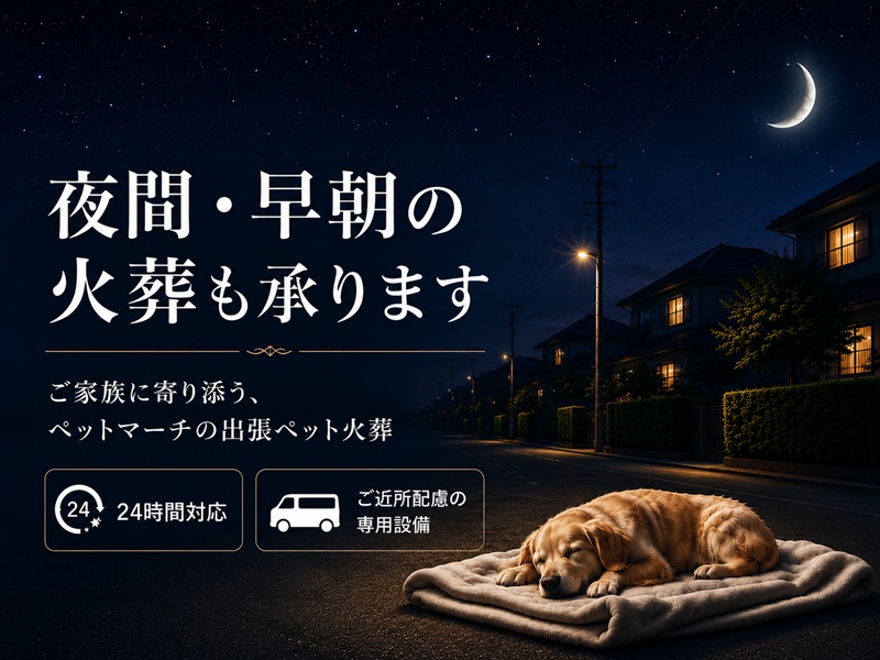 pet-night-cremation