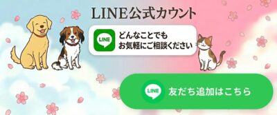 ペットマーチの公式LINEはこちら。