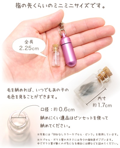 遺骨カプセルにご遺骨を納めるイメージ