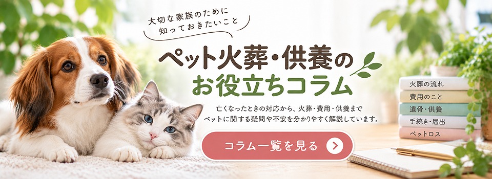ペット火葬・供養のお役立ちコラム